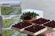 预测占卜高速赋能产业升级：一条“杨梅路”的致富密码